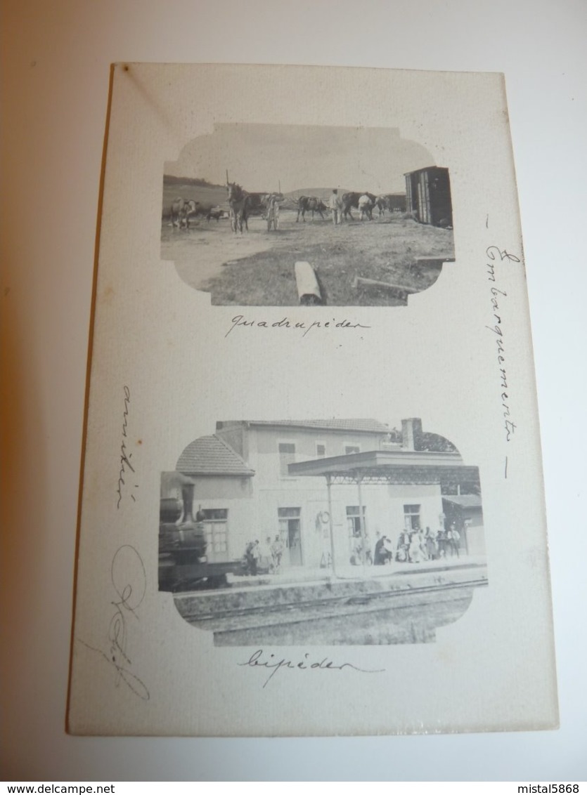 HAUTE MARNE LATRECEY CARTE PHOTO TRES RARE GARE EMBARQUEMENT QUADRIPEDES BIPEDES - Altri & Non Classificati