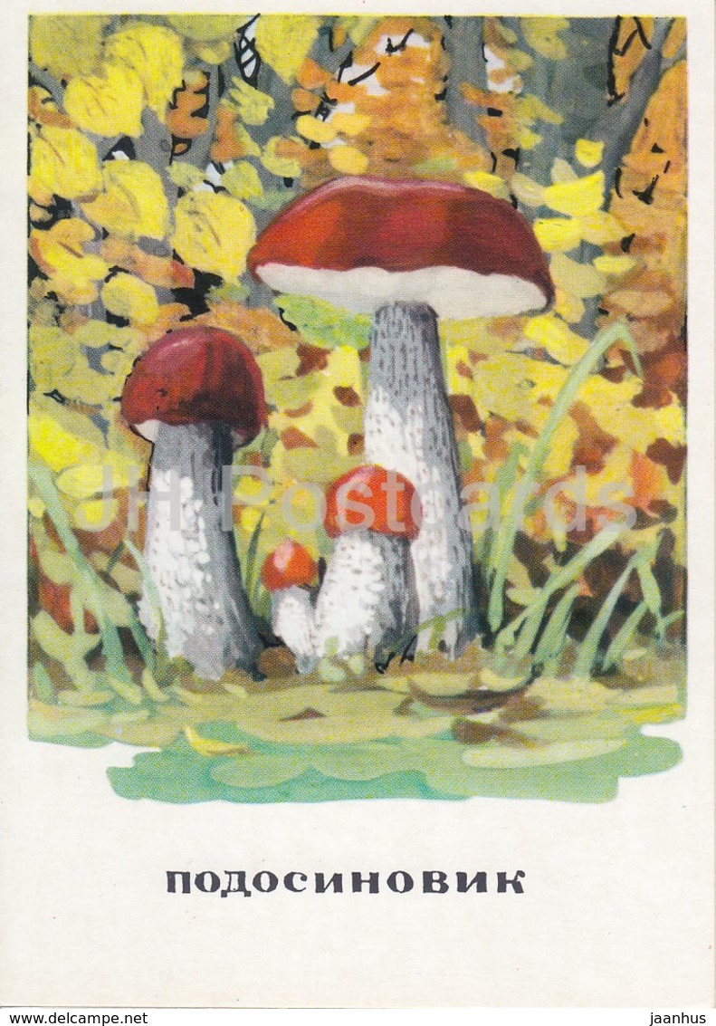 Aspen Mushroom - Mushrooms - Illustration - 1971 - Russia USSR - Unused - Pilze