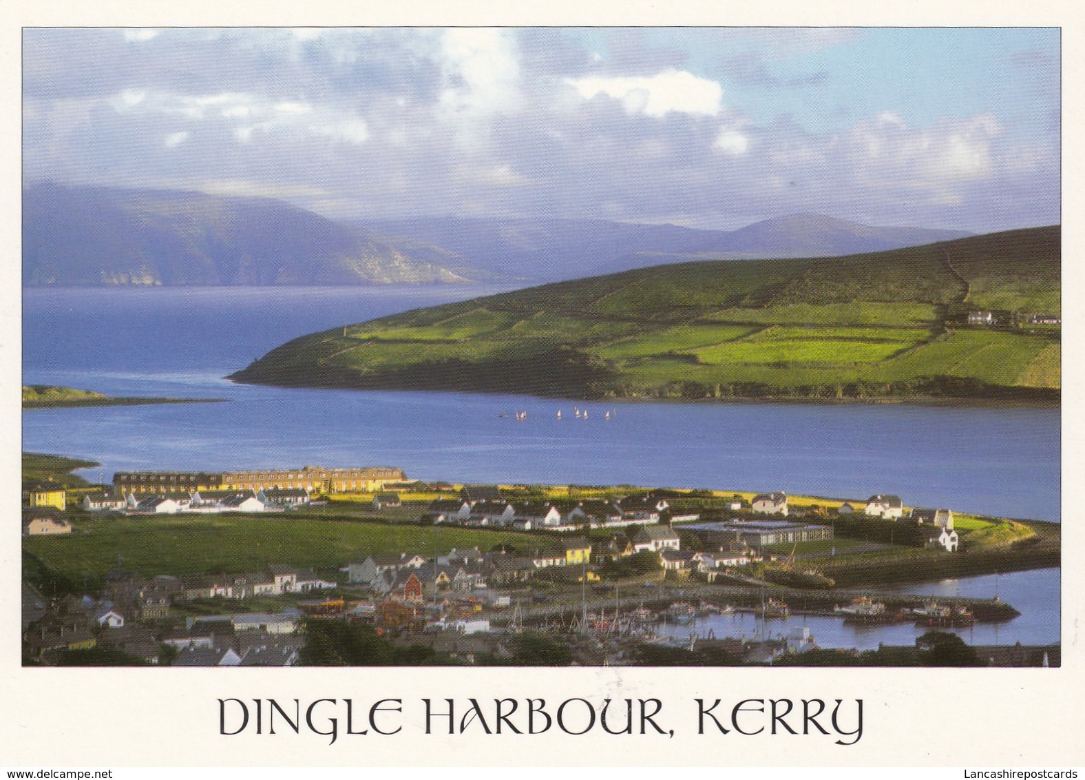 Postcard Dingle Harbour Co Kerry Ireland [ John Hinde ] My Ref  B24065 - Kerry