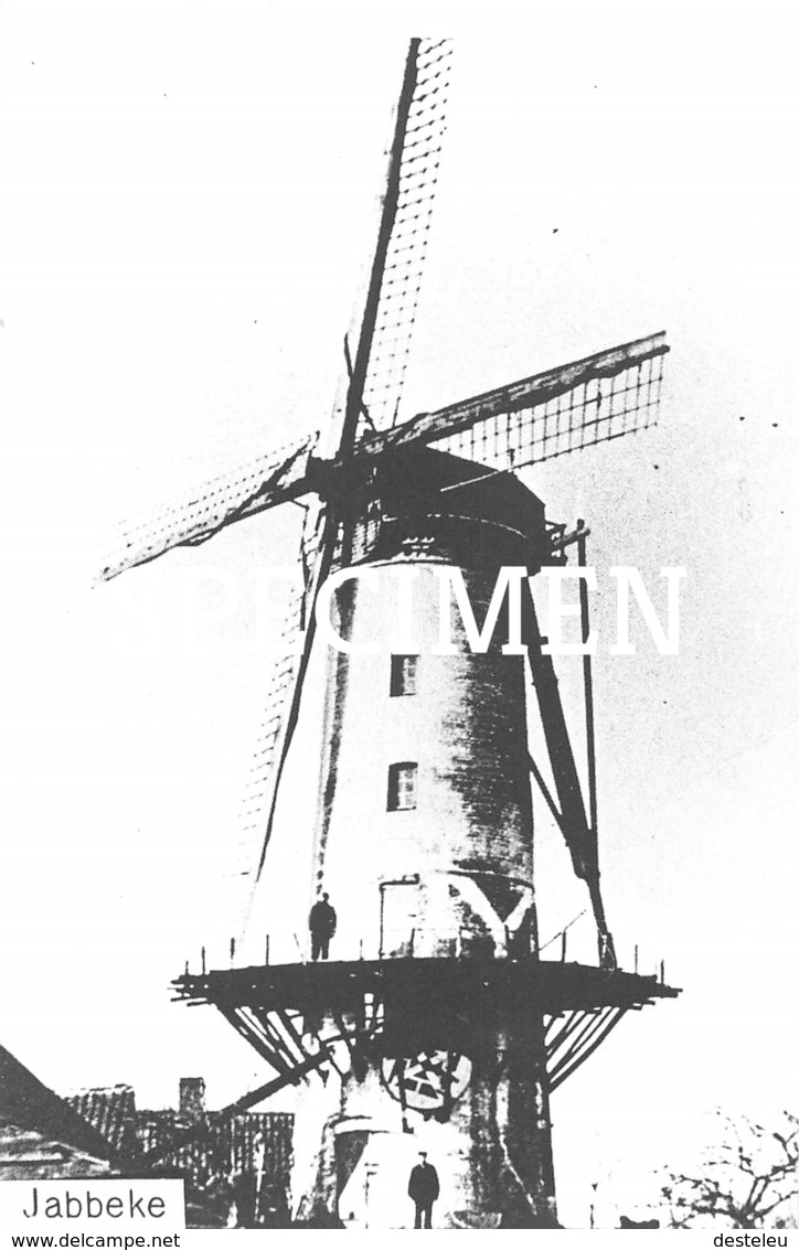 Molen -  Jabbeke - Repro - Jabbeke