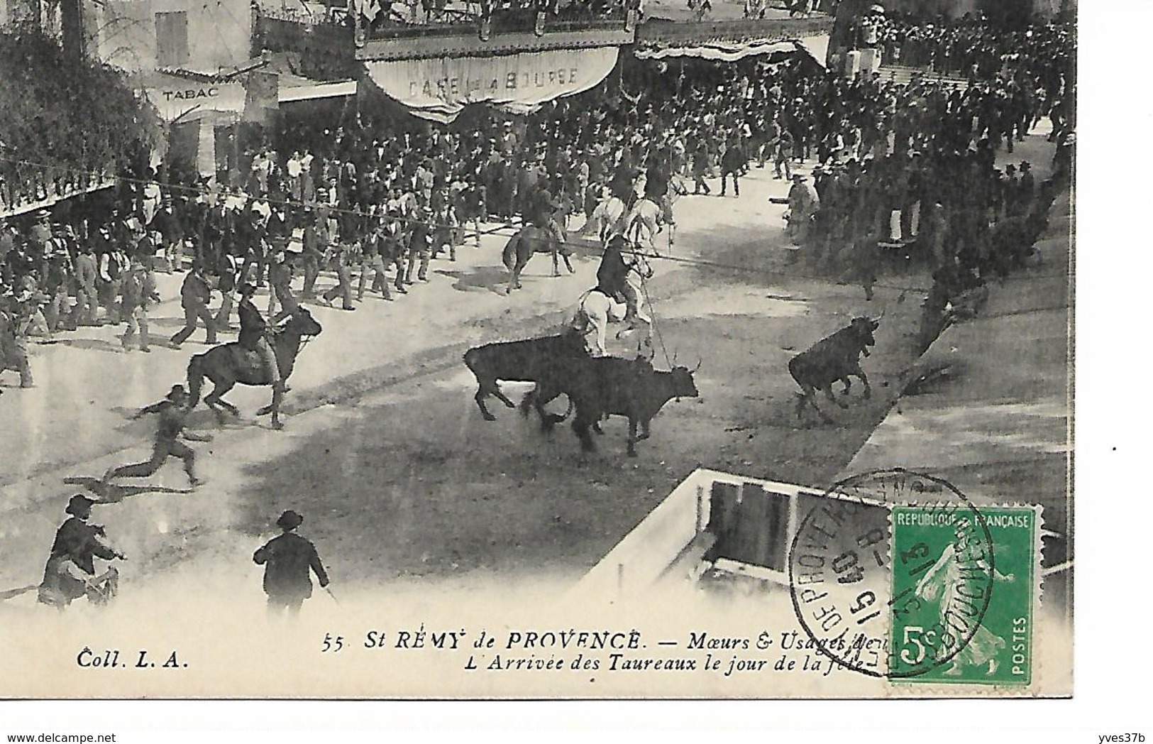 St-REMY De Provence  Moeurs Et Usages De Provence - L'Arrivée Des Taureaux Le Jour De La Fête - Saint-Remy-de-Provence