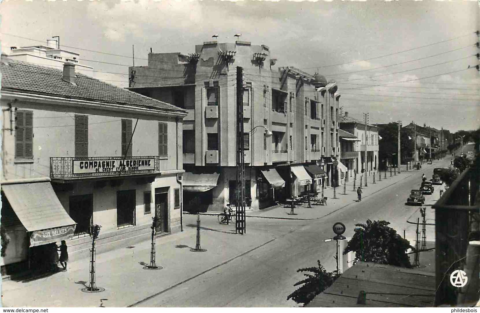 ALGERIE  BATNA  Avenue De La République  ( Cpsm) - Batna