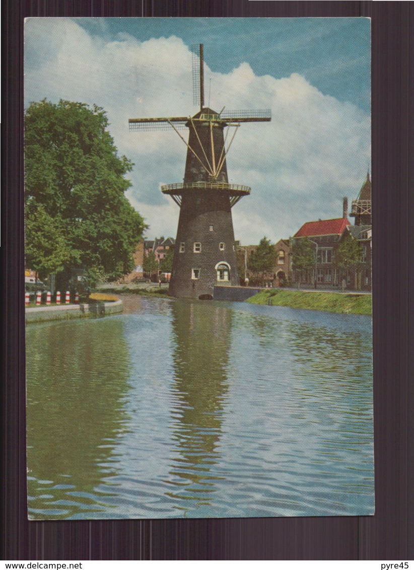 PAYS BAS KORENMOLEN DE WALVISCH SCHIEDAM - Schiedam