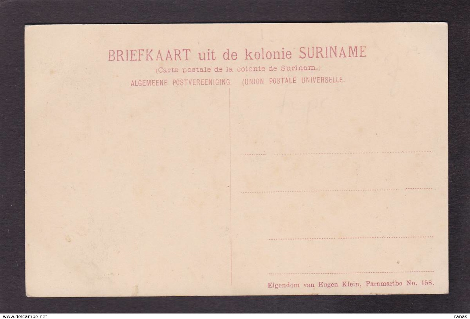 CPA Suriname Surinam Type Ane Donkey Non Circulé - Surinam