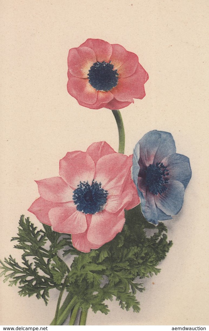 FLEURS. Environ 300 Cartes Postales. - Autres & Non Classés