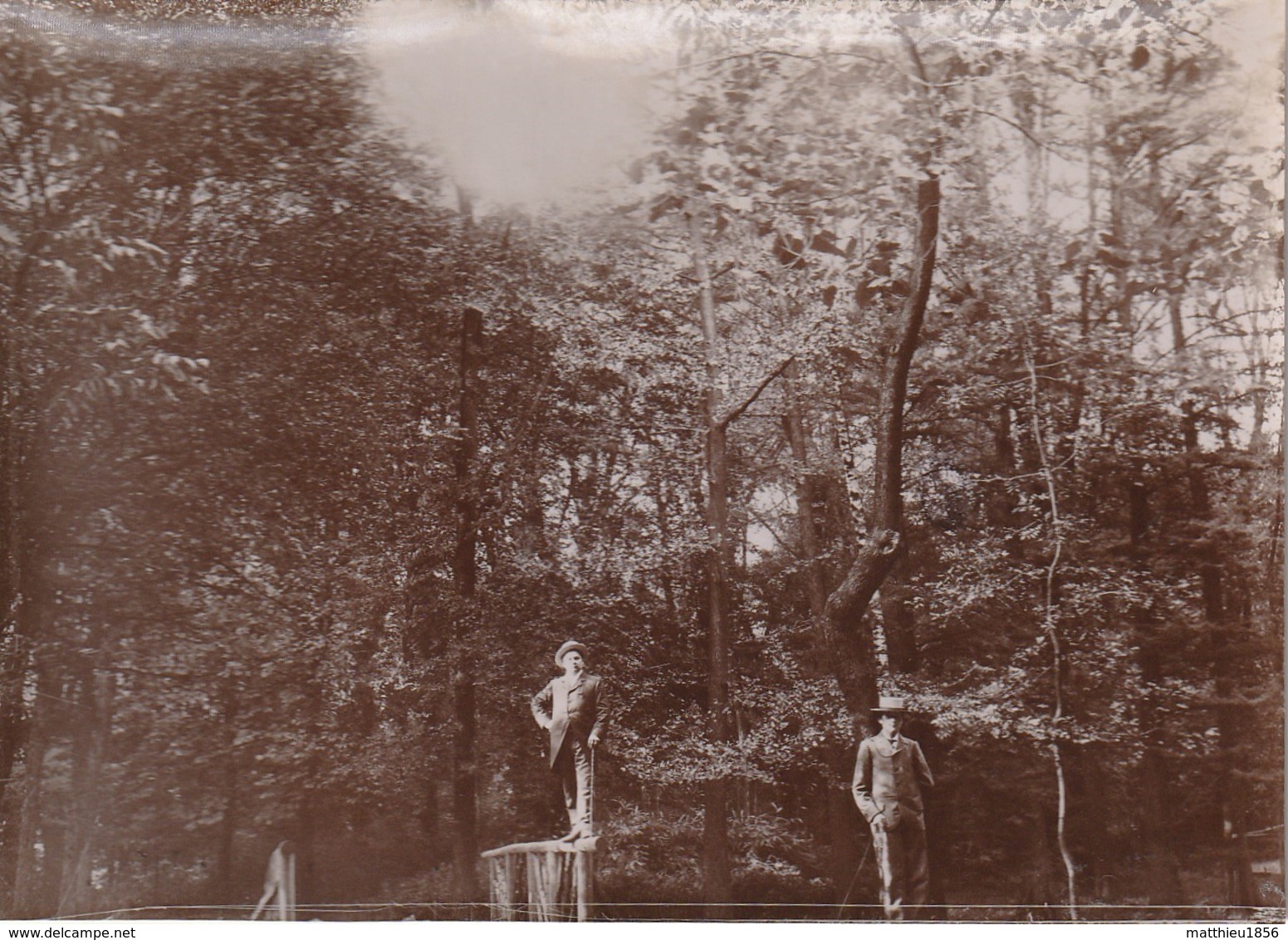 Photo Vers 1900 LYON - Au Parc De La Tête D'Or (A219, Ww1, Wk 1) - Lyon 6