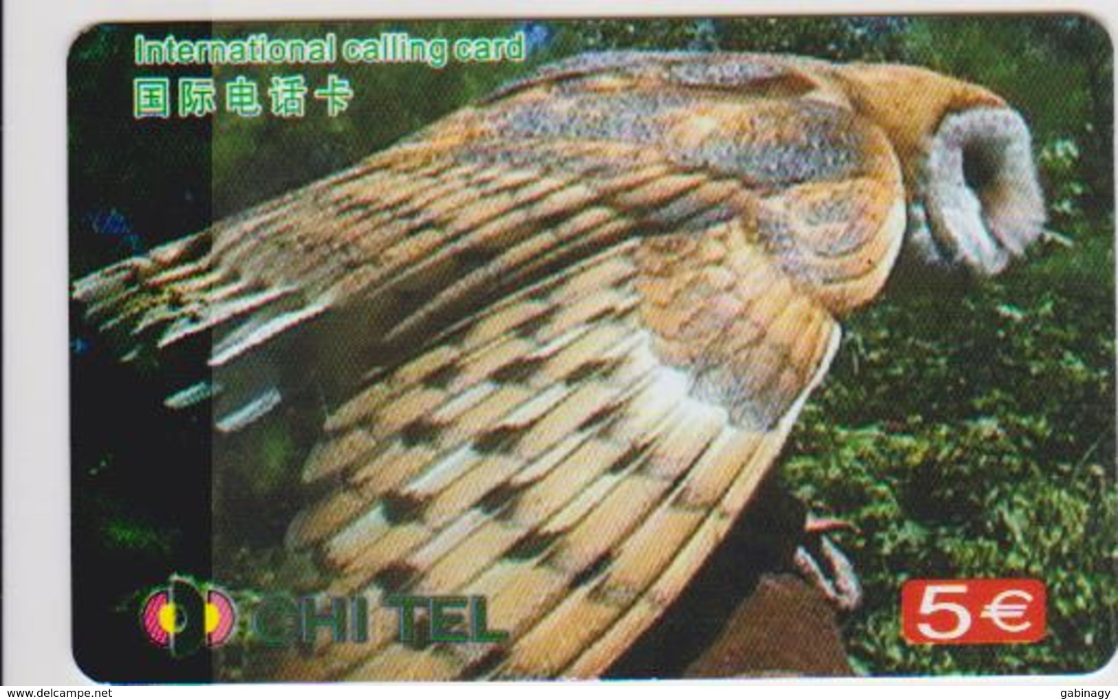OWL - CHINA-02 - Eulenvögel