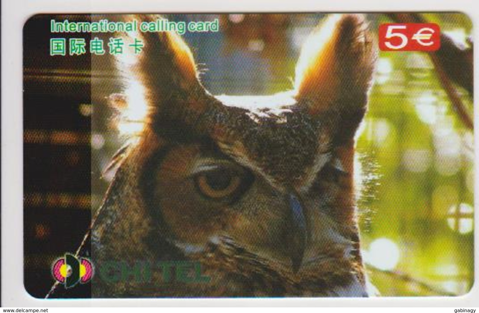OWL - CHINA-03 - Uilen