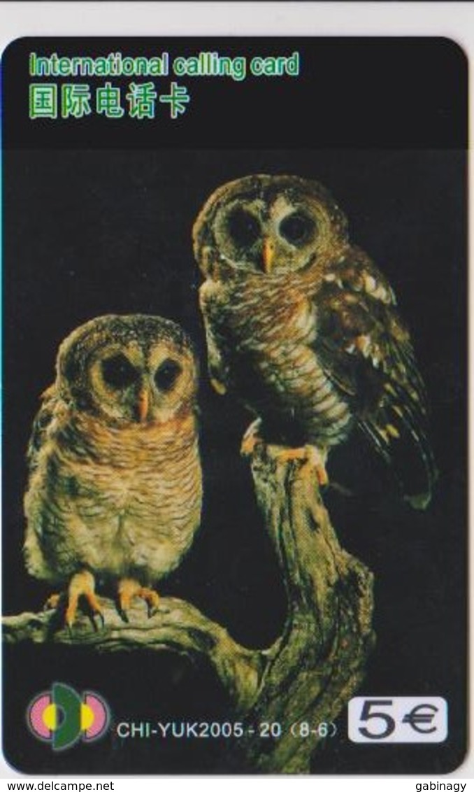 OWL - CHINA-05 - Owls