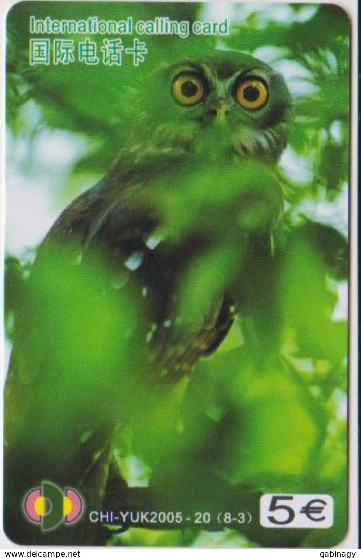 OWL - CHINA-06 - Eulenvögel