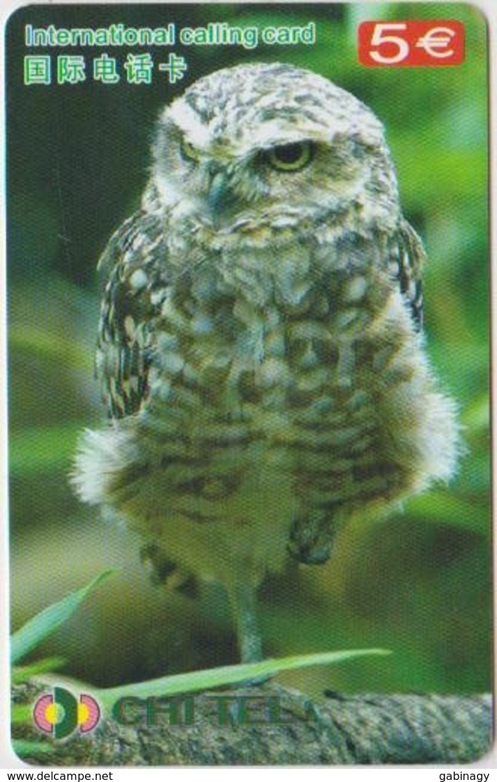 OWL - CHINA-09 - Uilen