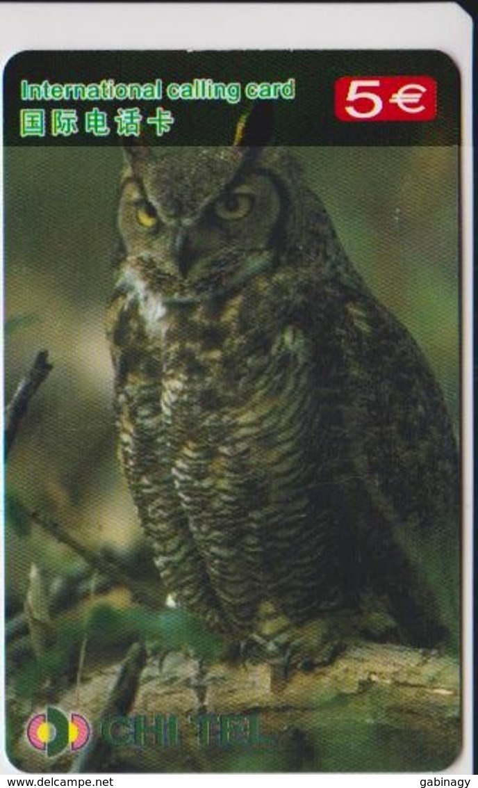 OWL - CHINA-11 - Owls