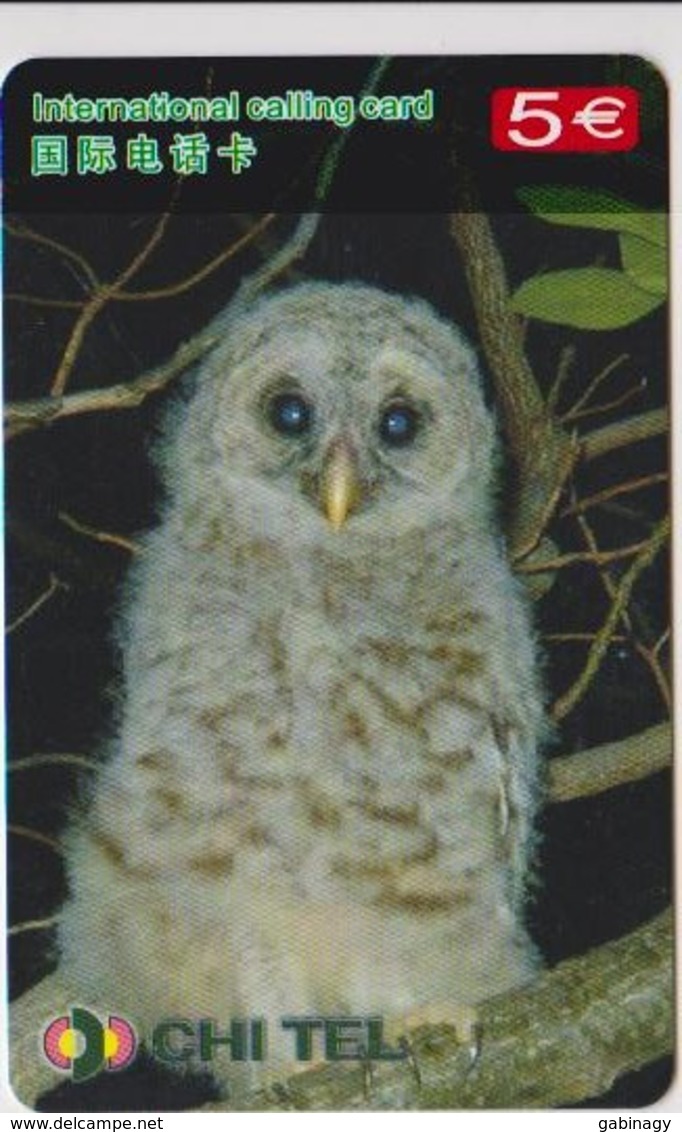 OWL - CHINA-14 - Owls