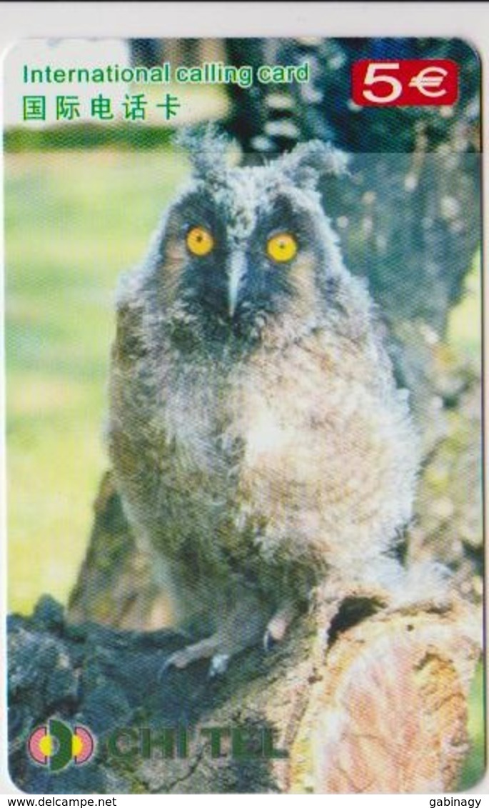 OWL - CHINA-15 - Eulenvögel