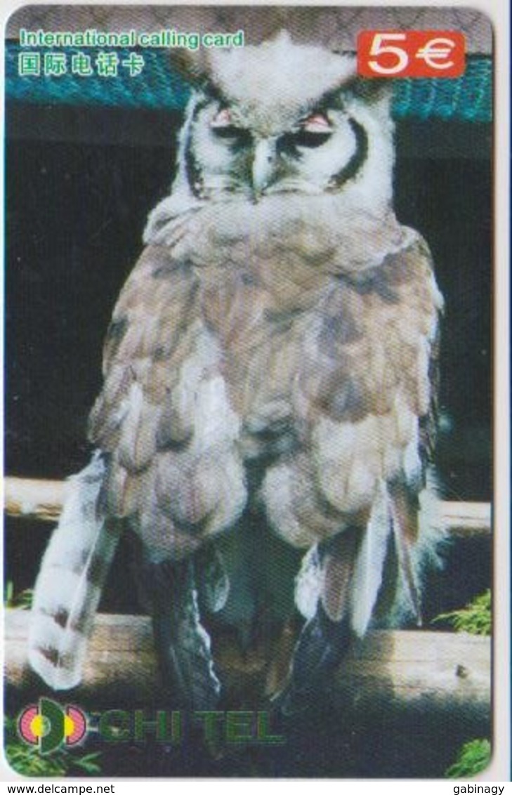 OWL - CHINA-16 - Eulenvögel