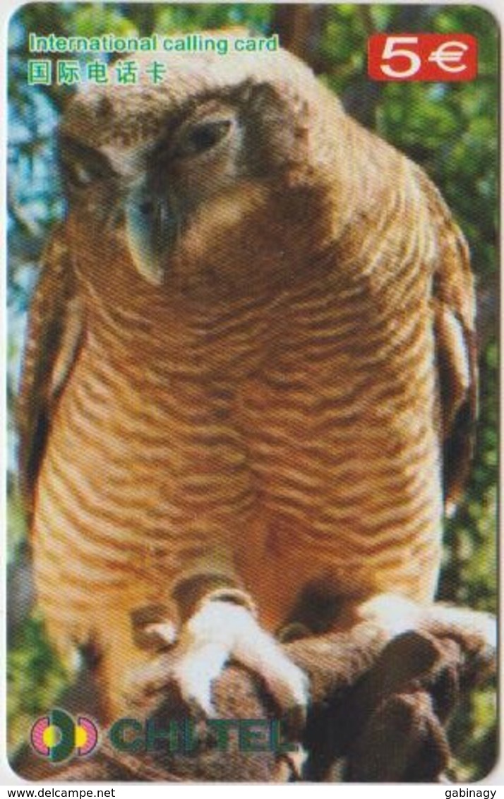 OWL - CHINA-17 - Eulenvögel