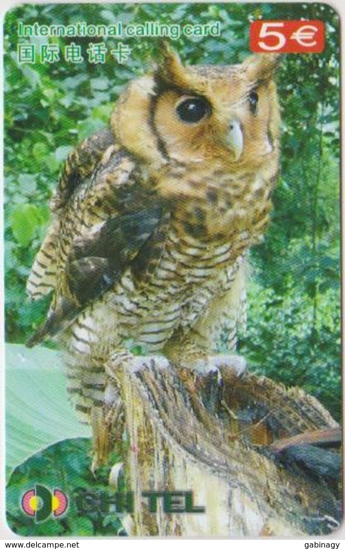 OWL - CHINA-20 - Eulenvögel