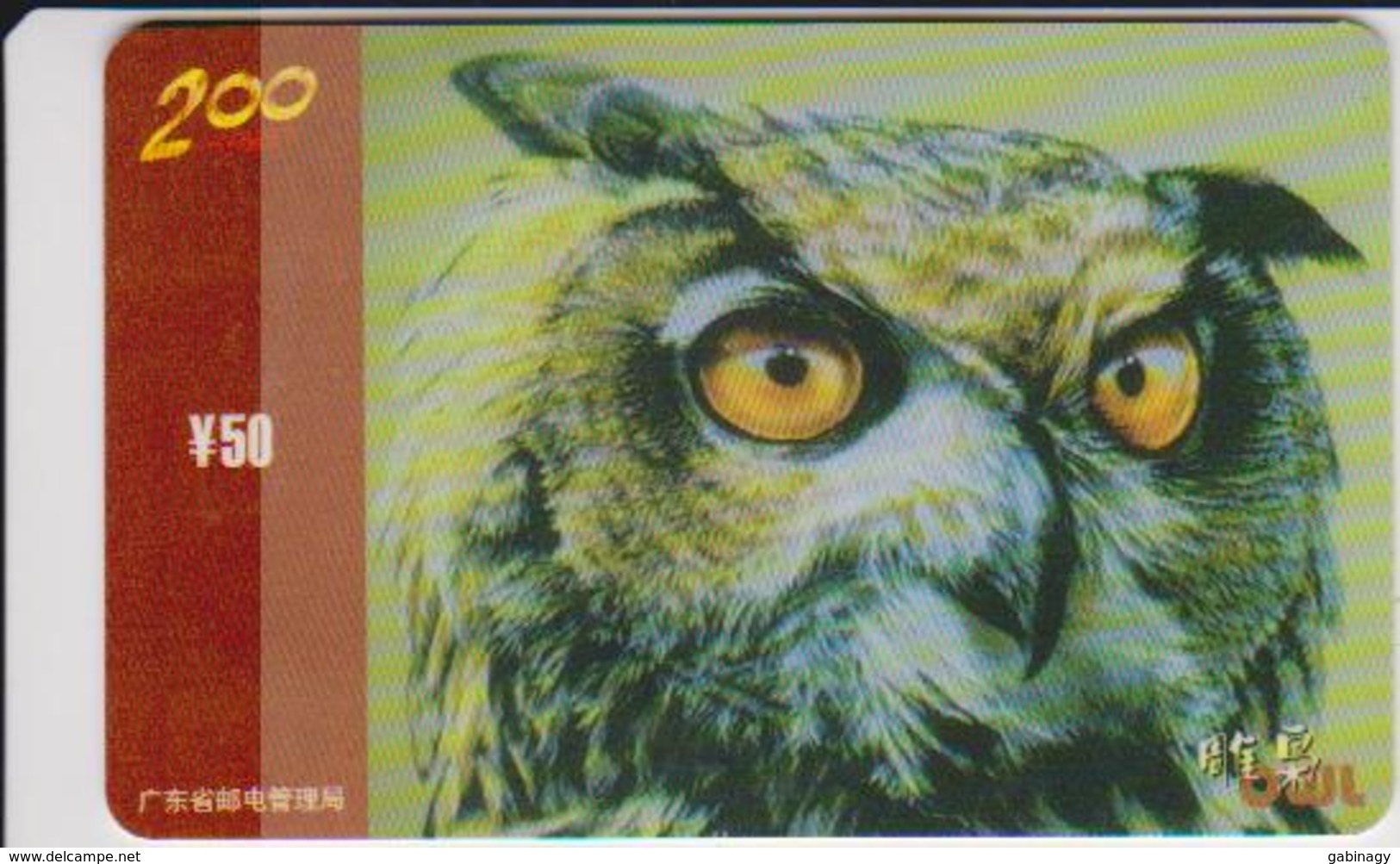 OWL - CHINA-21 - Uilen