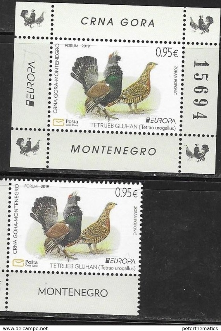 MONTENEGRO, 2019, MNH, EUROPA, BIRDS, 1v+S/SHEET - 2019