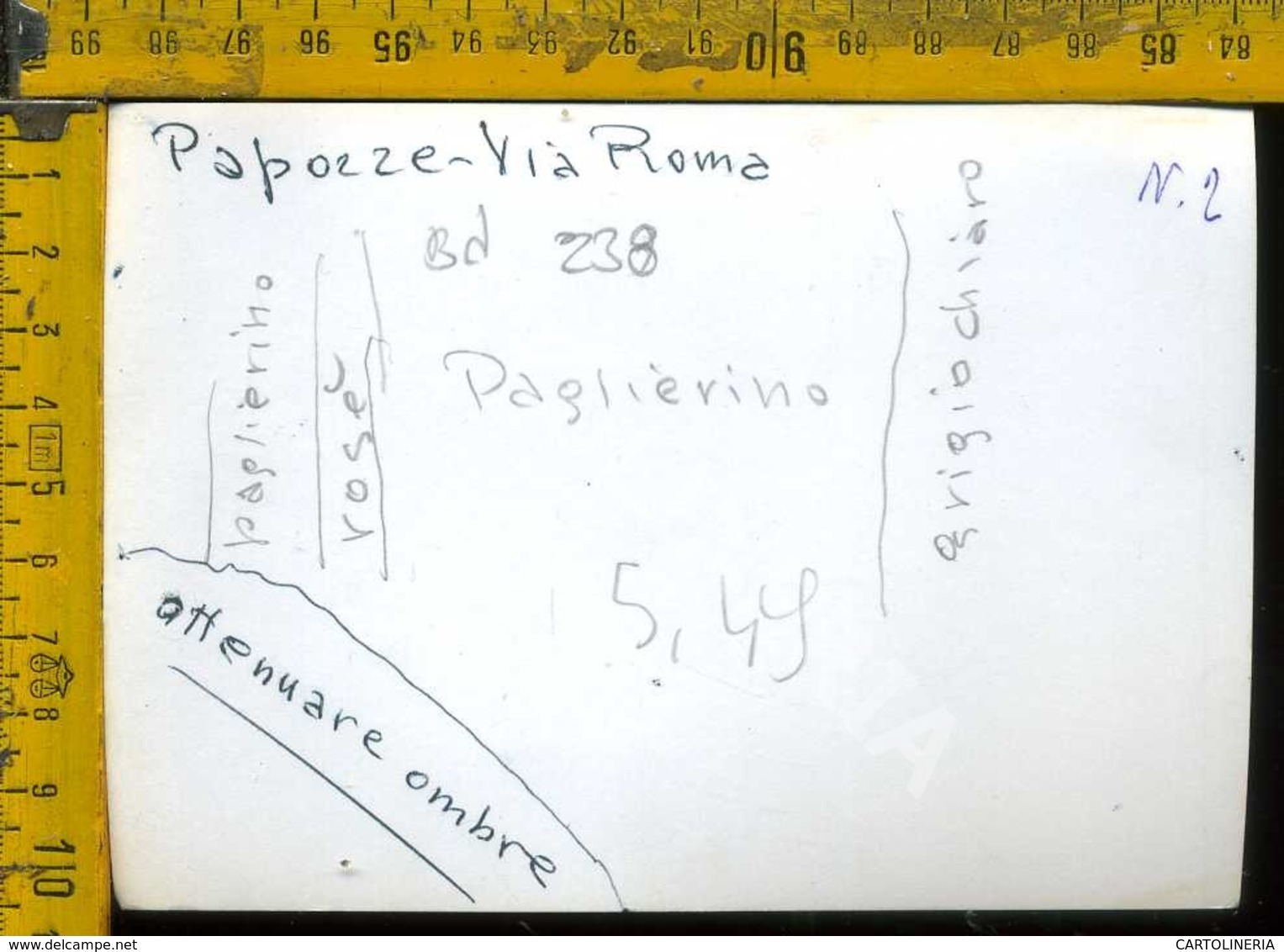 Rovigo Papozze Via Roma (carta Sottile) - Rovigo