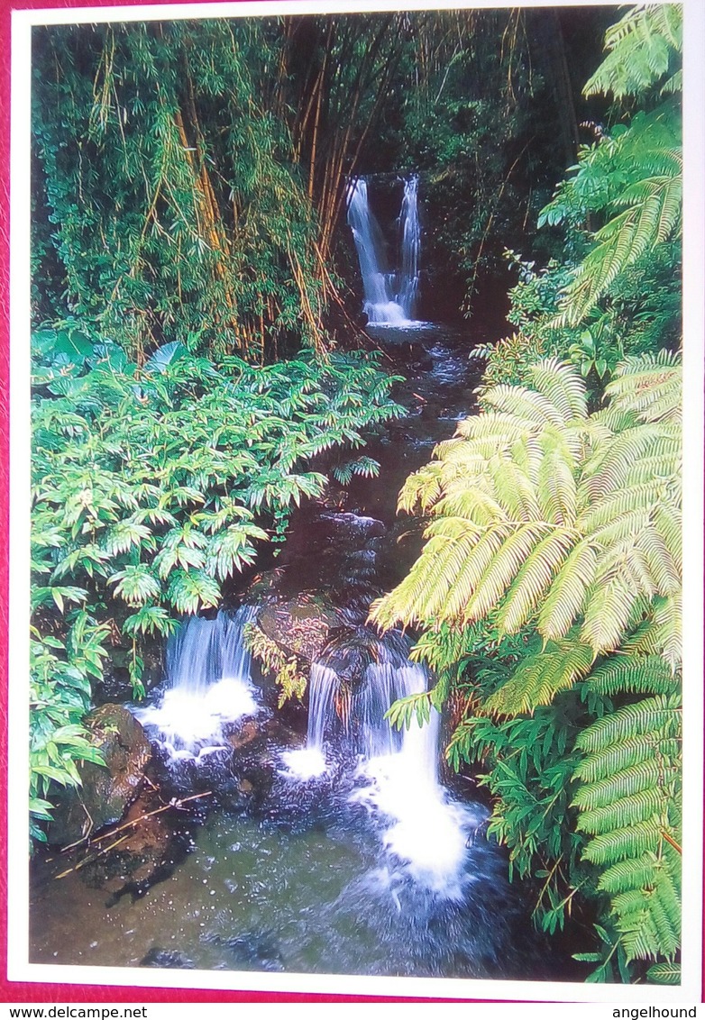 Akaka Falls State Park, Waterfalls - Big Island Of Hawaii