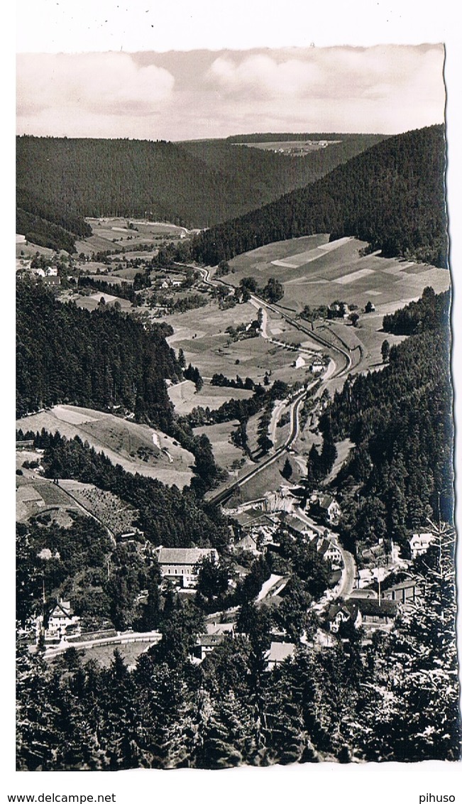 D-10556   ALPIRSBACH : Ehlenbogental - Alpirsbach