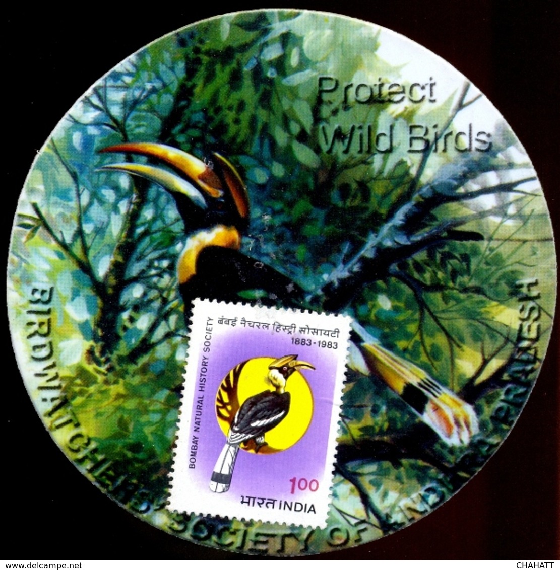 BIRDS-HORNBILLS-PROTECT WILD BIRDS-BOMBAY NATURAL HISTORY SOCIETY-MOUNTED ON ROUND LABEL-SCARCE-MSE-157 - Specht- & Bartvögel