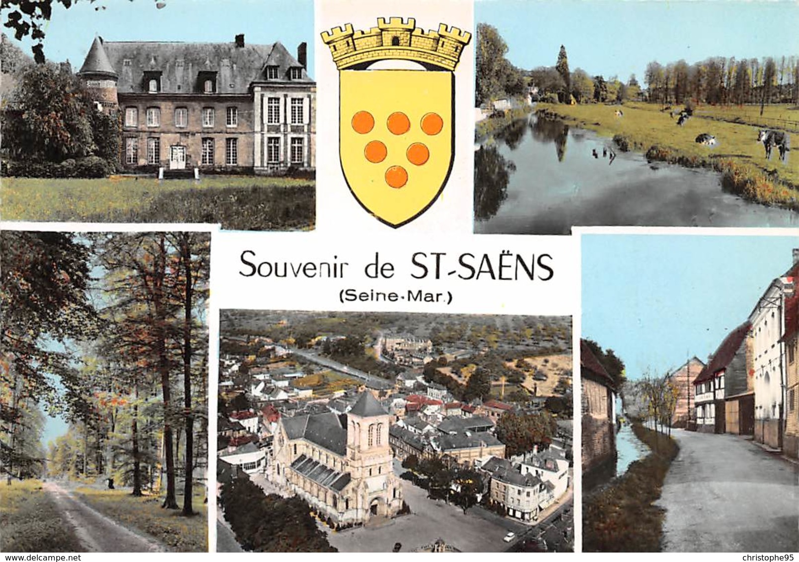 76 .n° 21485 . Saint Saens . Souvenir .vue D Ensemble .cpsm.10.5 X 15cm . - Saint Saens