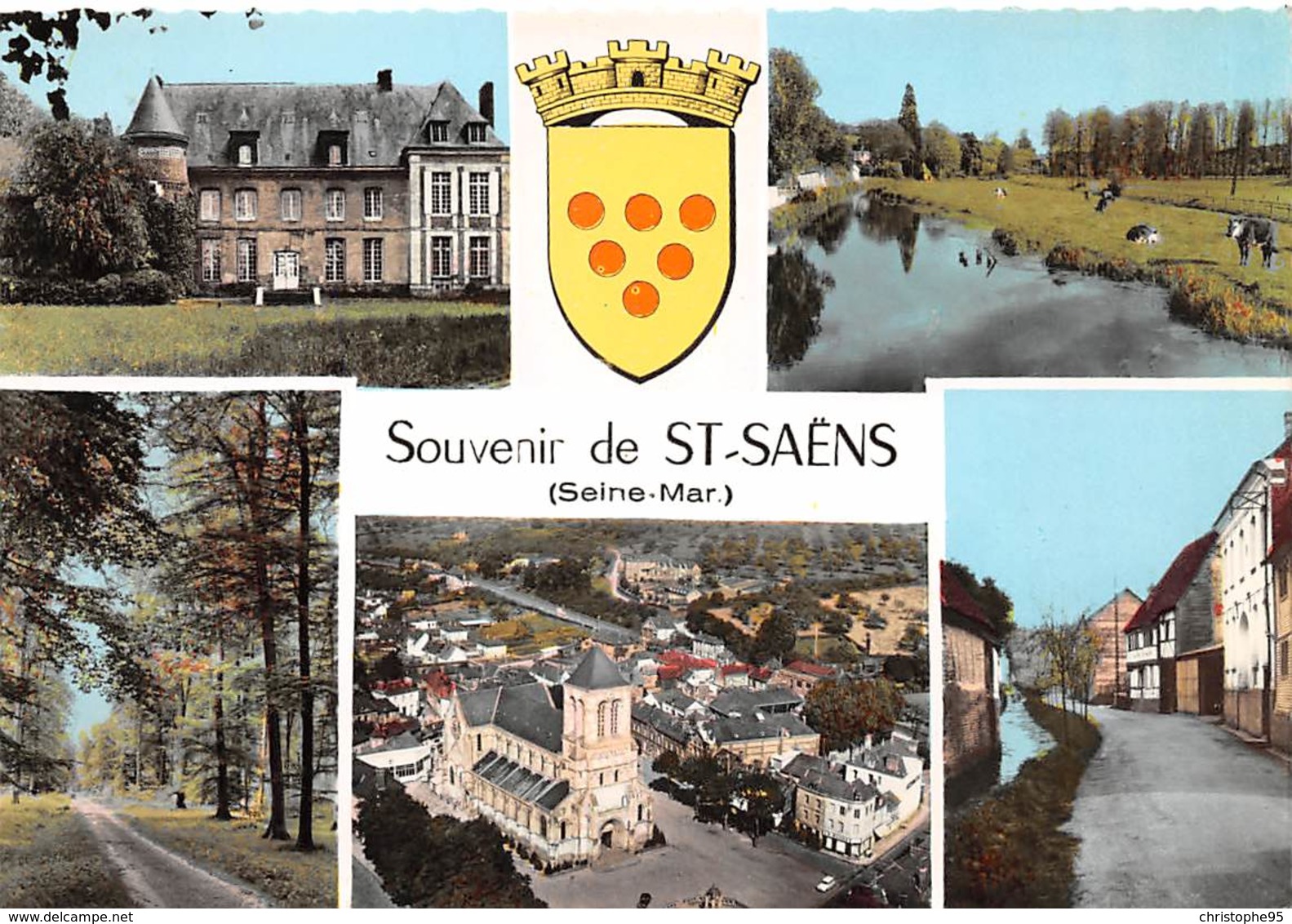 76 .n° 21492 . Saint Saens . Souvenir . Vue D Ensemble .cpsm.10.5 X 15cm . - Saint Saens