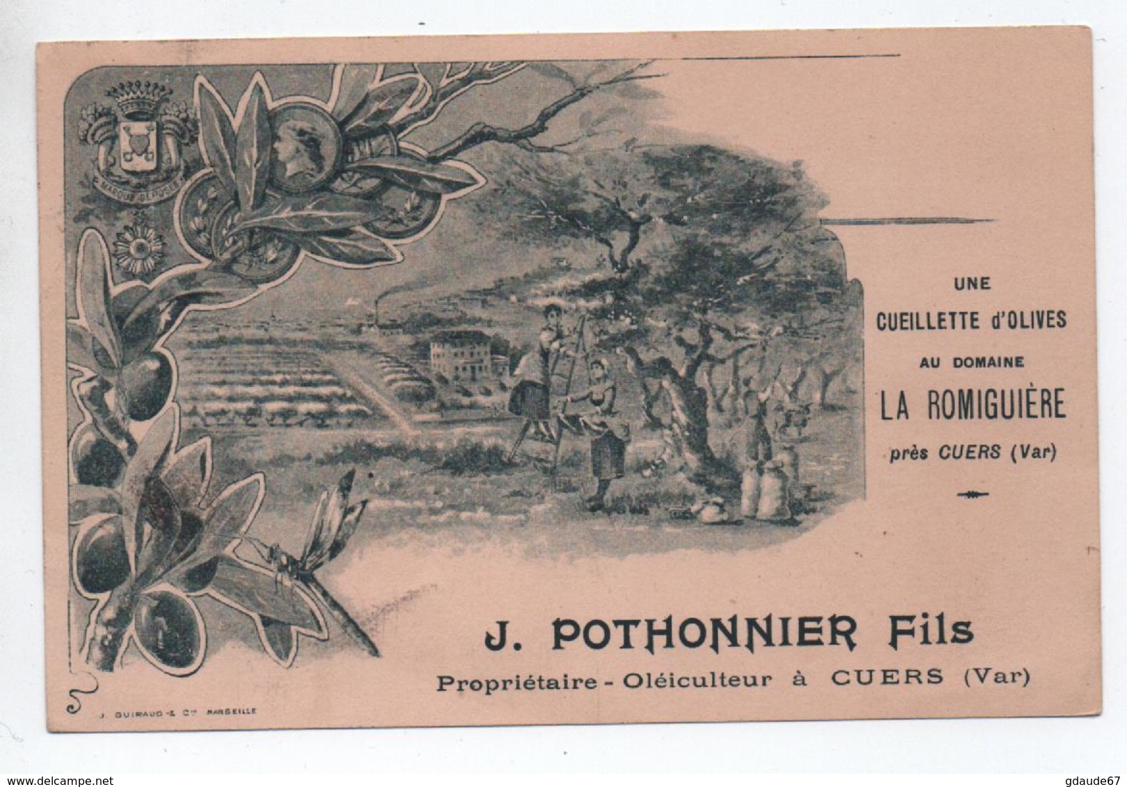 CARTE PUBLICITAIRE / PUB : UNE CUEILLETTE D'OLIVES à LA ROMIGUIERE Près CUERS (83) - J. POTHONNIER FILS - Cuers
