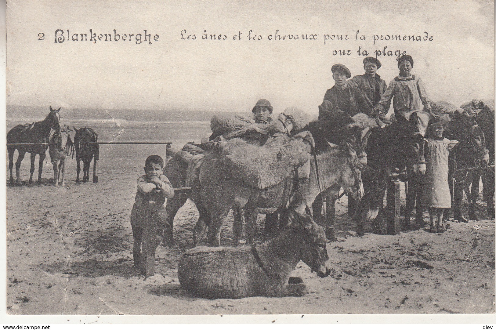 Blankenberge - De Ezels En De Paarden Voor De Wandling Op Het Strand - Uitg. Legia 12 - Blankenberge