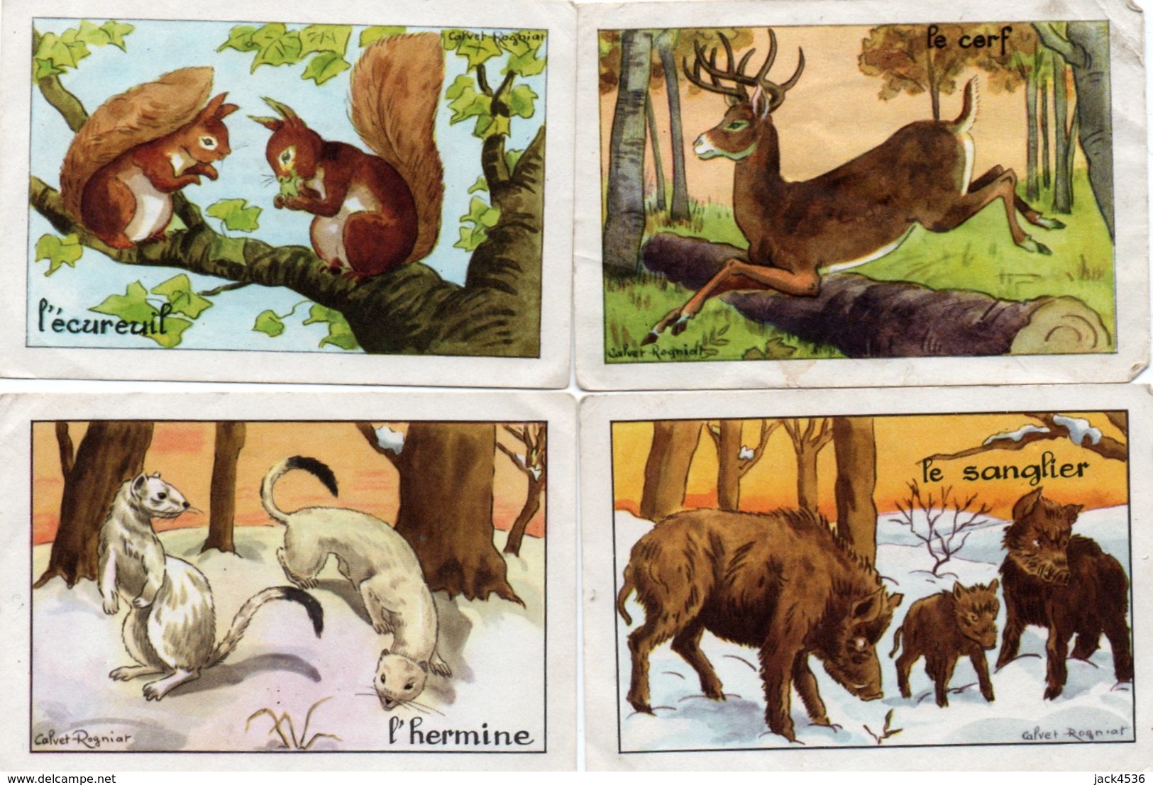 Lot De 4 Images D' école - Animaux *** - Autres & Non Classés