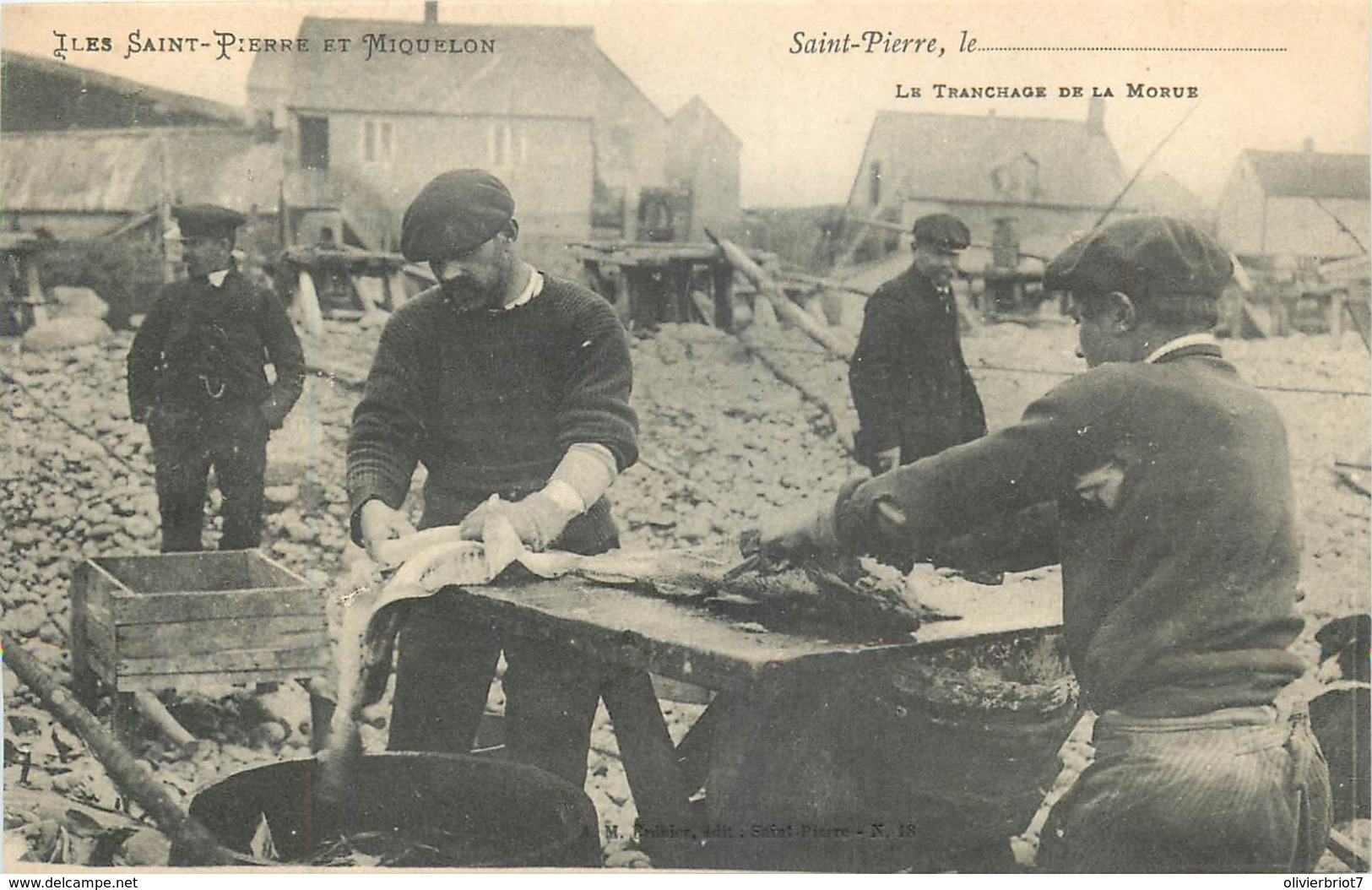 France - Saint-Pierre Et Miquelon - St.-Pierre - Le Tranchage De La Morue - Saint-Pierre Und Miquelon