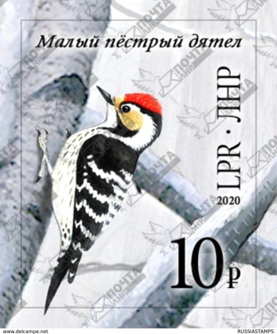 Stamps Of Ukraine (local) WINTER BIRDS DIATEL 29.01.2020 - Sammlungen (im Alben)