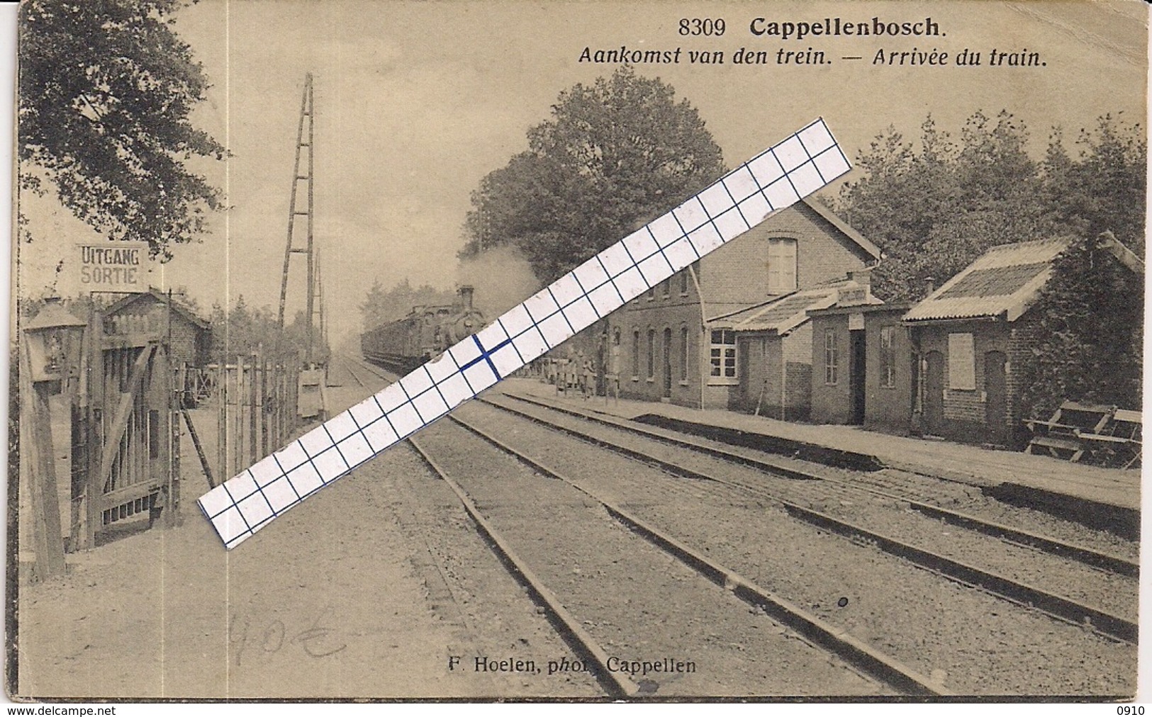 CAPPELLENBOSCH-KAPELLEN"AANKOMST VAN DE TREIN-STATIONSZICHT-ARRIVEE DU TRAIN"HOELEN8309 UITGIFTE 1920 TYPE6 - Kapellen