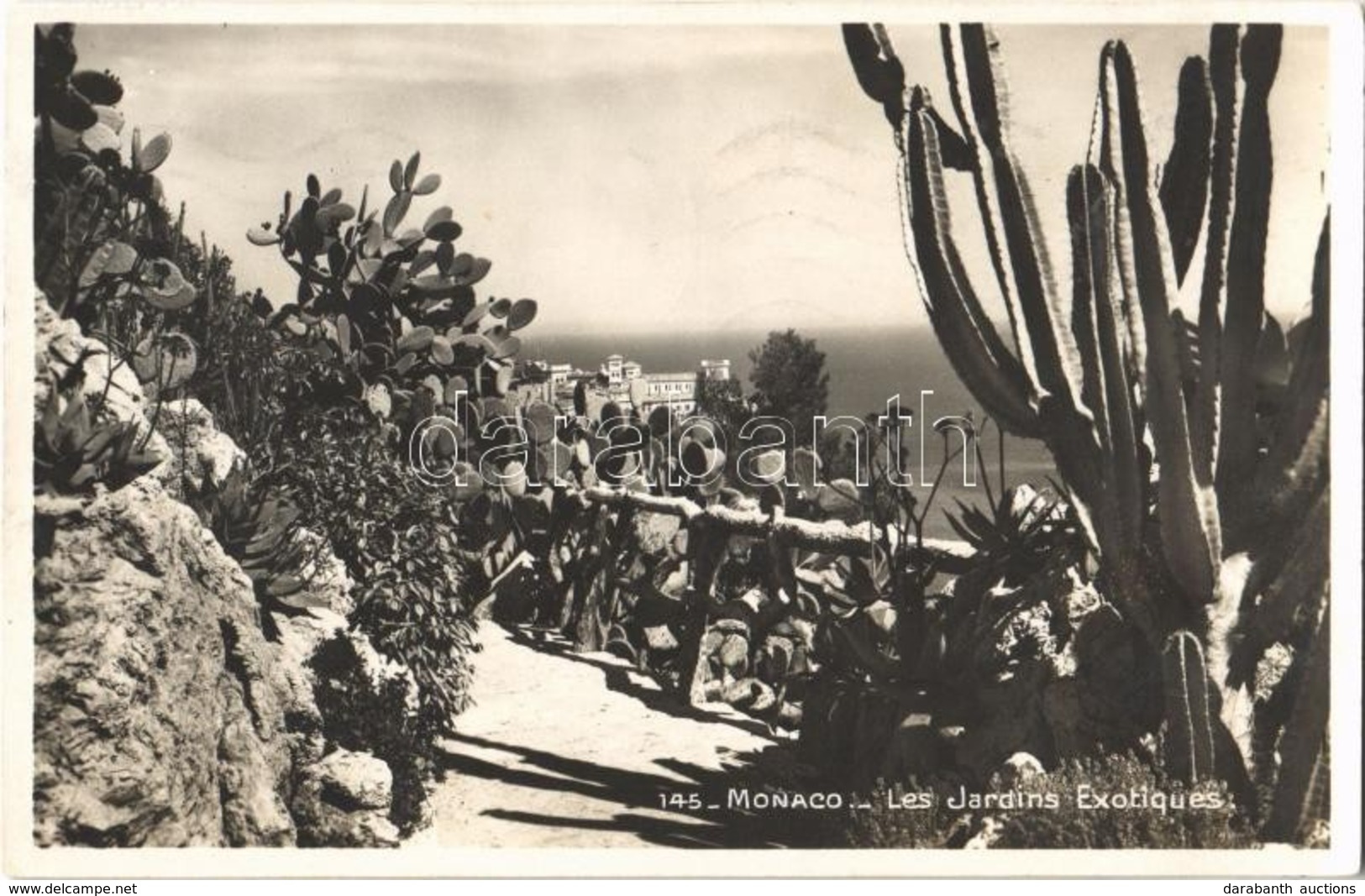 T1/T2 1936 Monaco, Les Jardins Exotiques / Exotic Gardens, Photo - Autres & Non Classés