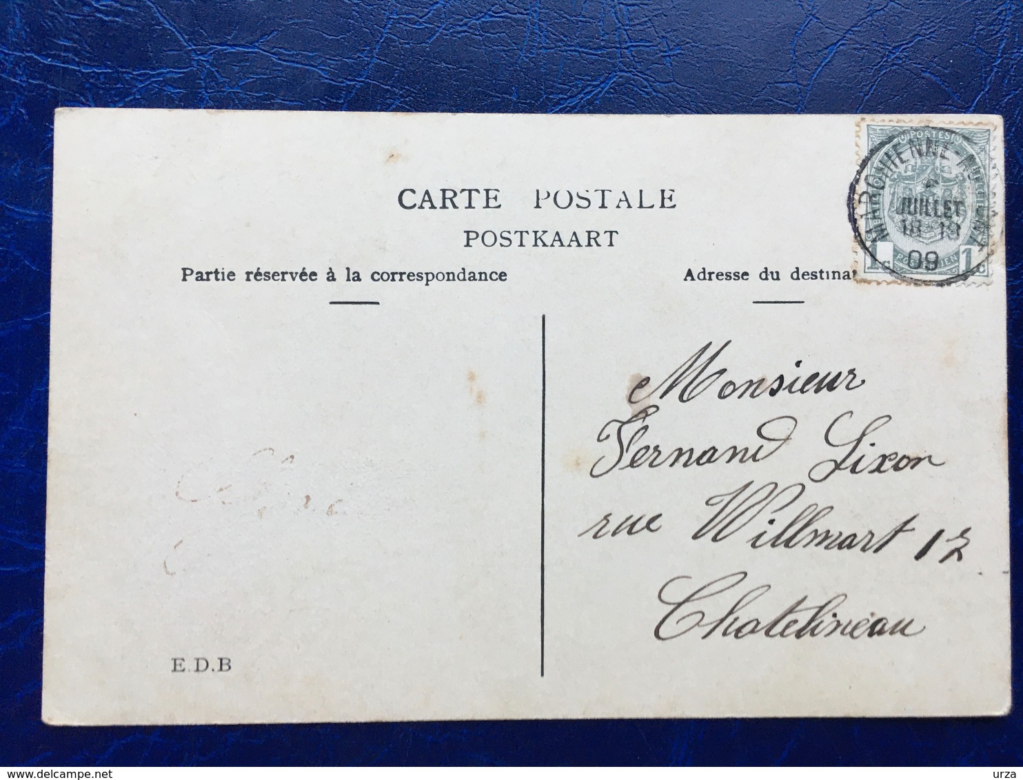 Cpa---"Chats Sont Dérangés Par Une Guêpe"--(905) - 1900-1949