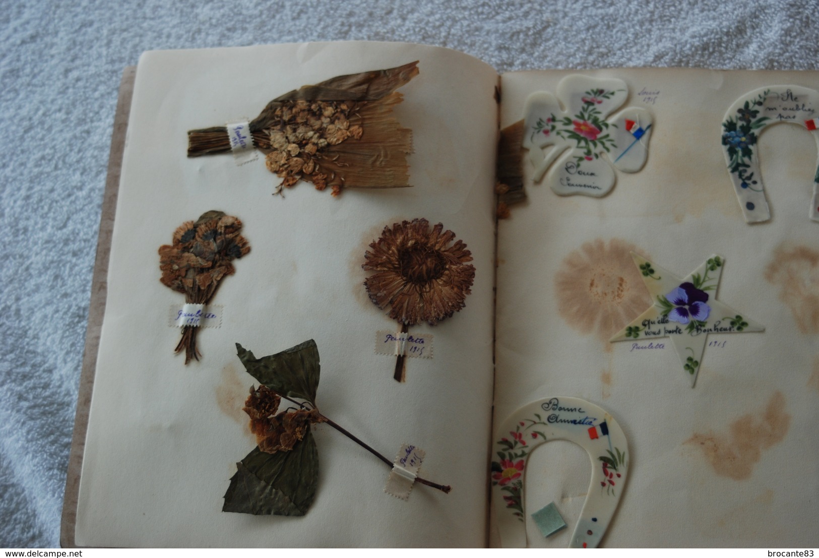 HERBIER FAIT PAR LE FILS  D'UN POILU INTITULER SOUVENIR DU FRONT - Documents