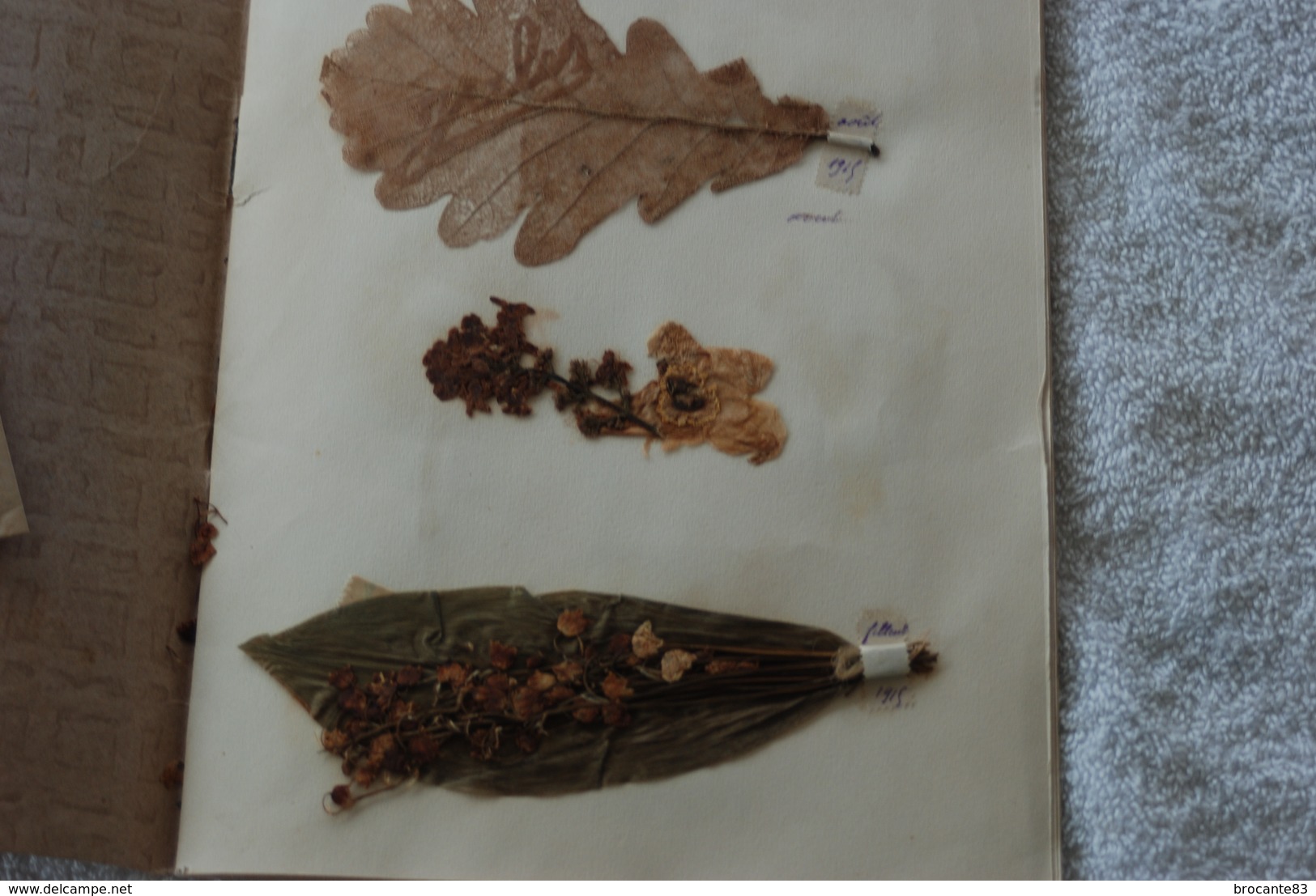 HERBIER FAIT PAR LE FILS  D'UN POILU INTITULER SOUVENIR DU FRONT - Documents