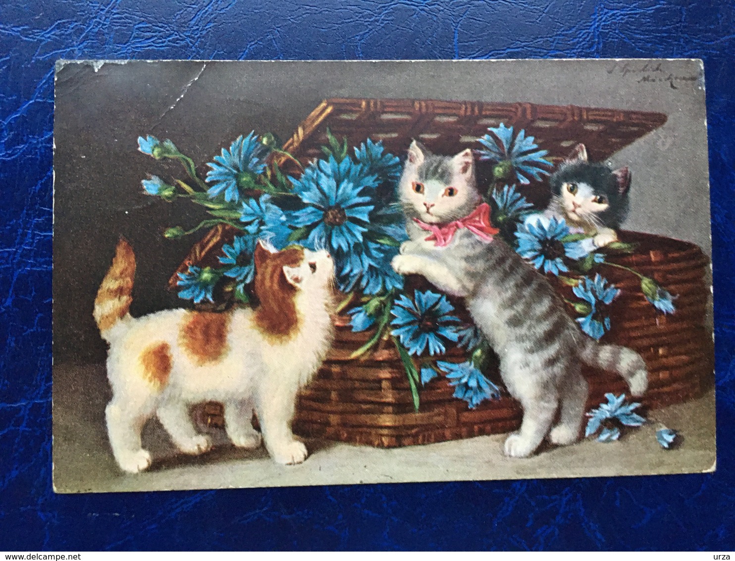 Cpa---"Chats Jouant Avec Les Fleurs Dans Un Panier--(910) - 1900-1949