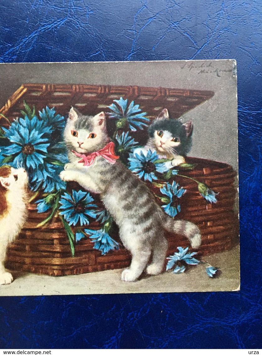 Cpa---"Chats Jouant Avec Les Fleurs Dans Un Panier--(910) - 1900-1949