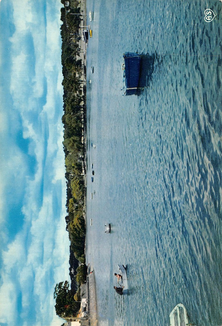 LA FORET FOUESNANT  -   L 'anse Et La Foret Vue Du Port - La Forêt-Fouesnant