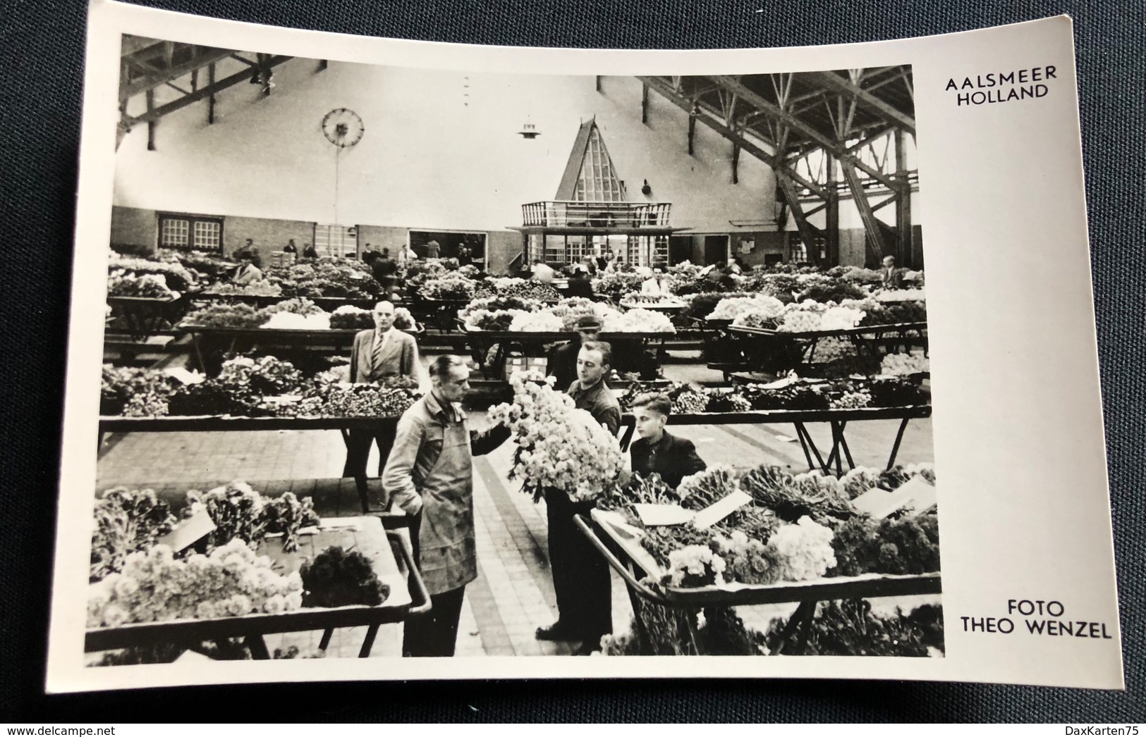 Aalsmeer Blumenmarkt/ Photo Theo Wenzel - Aalsmeer