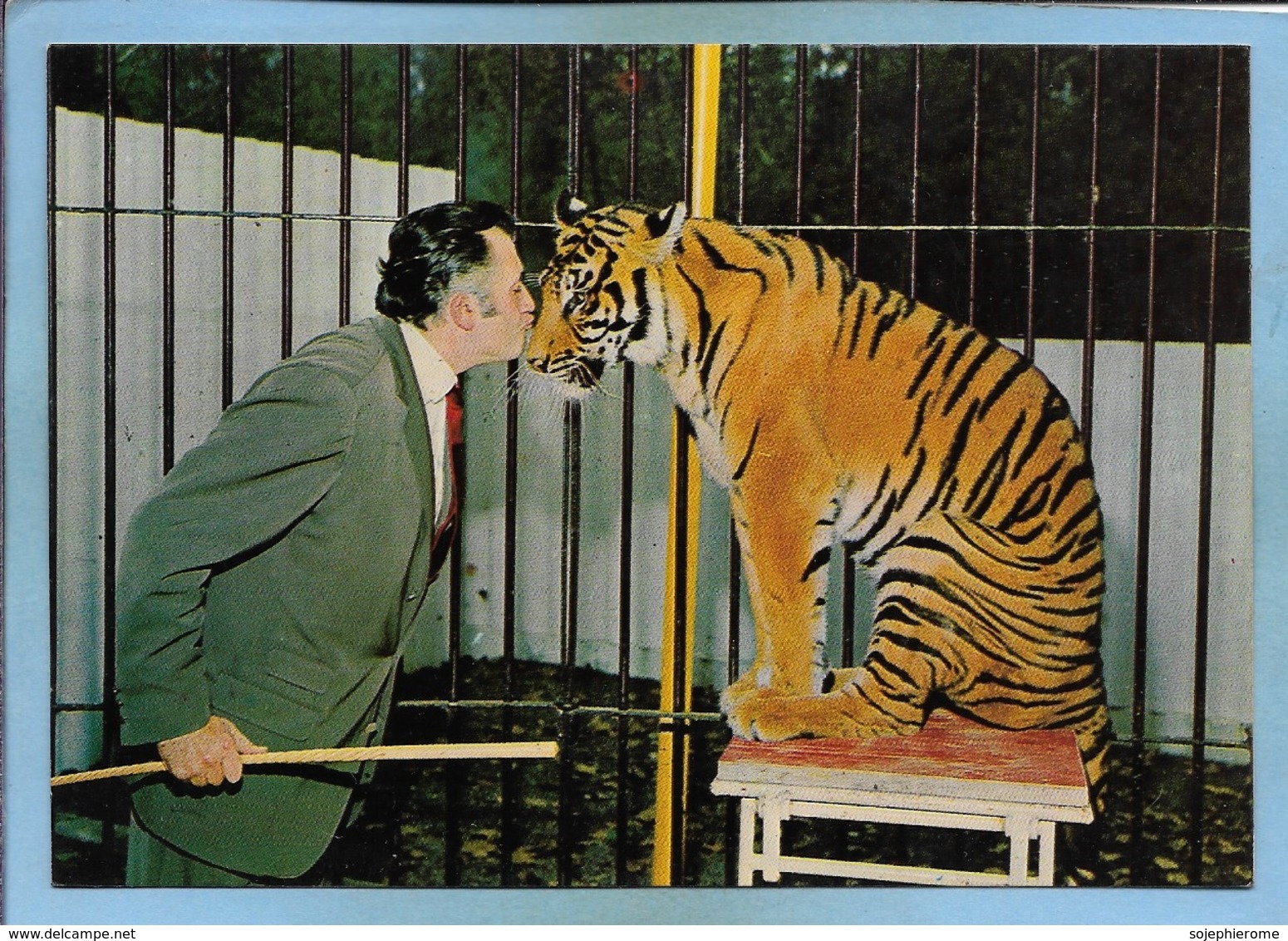 Ermenonville (60) Zoo Jean-Richard Zorra Tigresse Favorite D. Darbois 2scans 15-07-1979 Bisou - Ermenonville