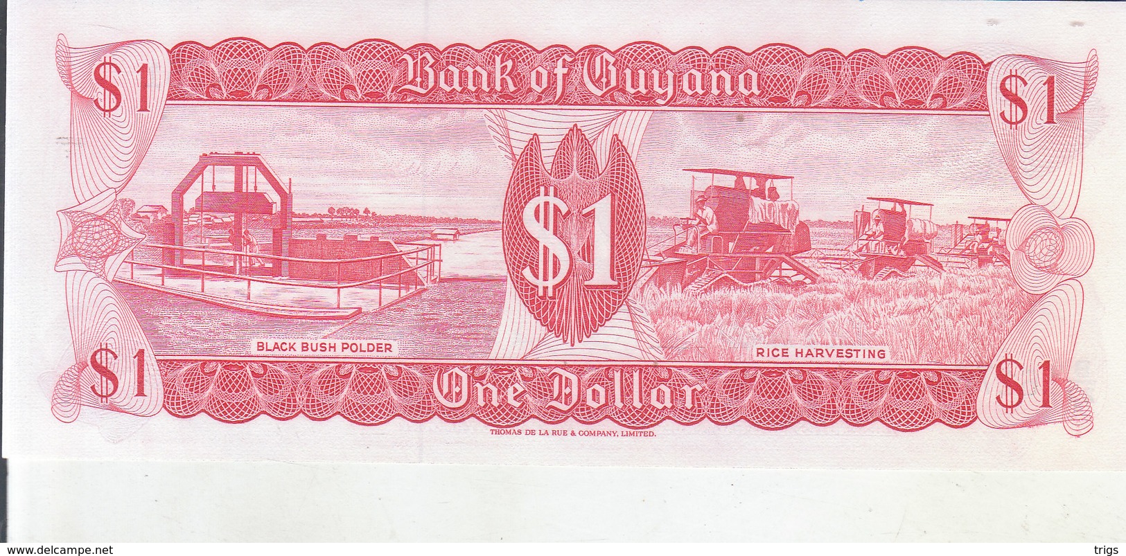 Guyana - 1 Dollar - Guyana