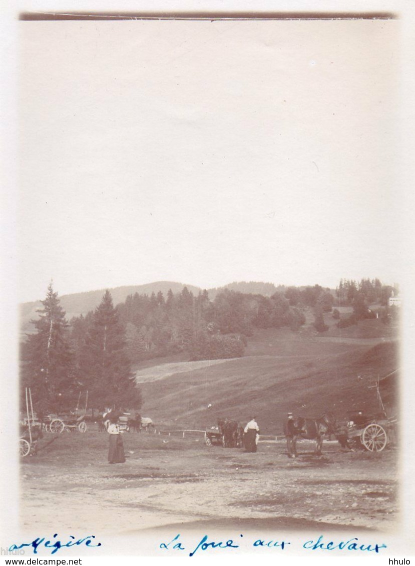 A735 Photographie Originale 1900 Megève La Foire Aux Chevaux Vintage Photography - Lieux