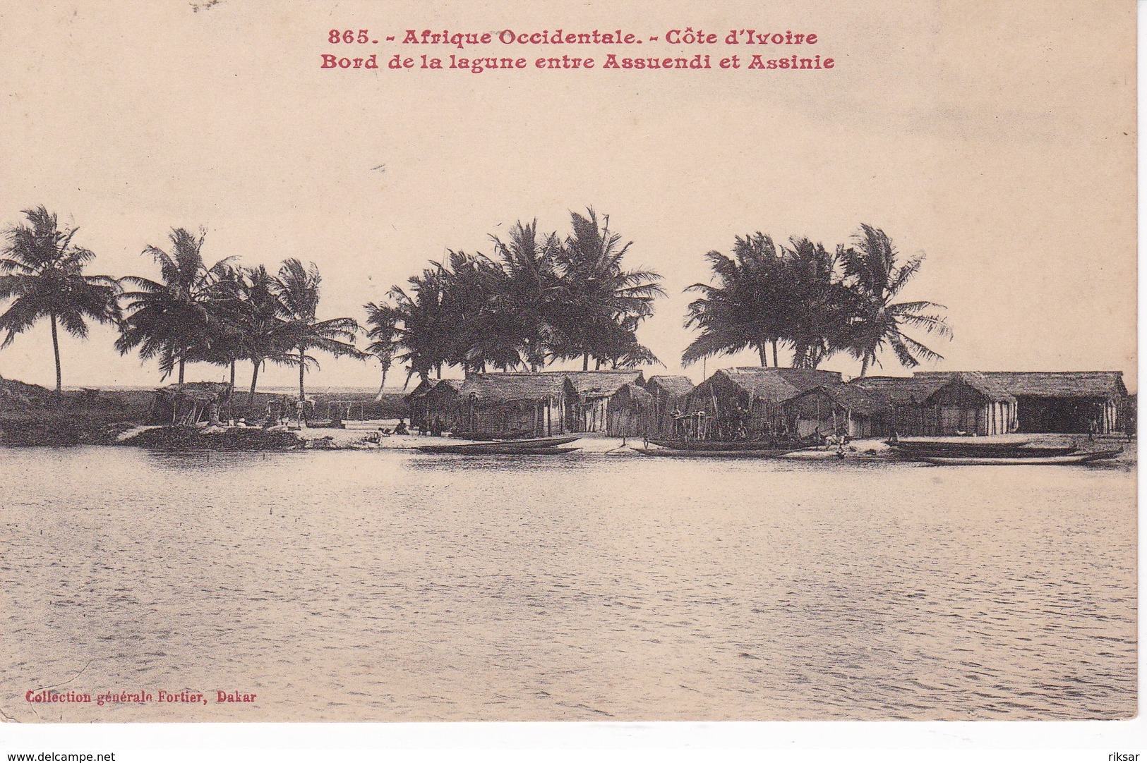 COTE D IVOIRE(ASSINIE) ARBRE - Côte-d'Ivoire