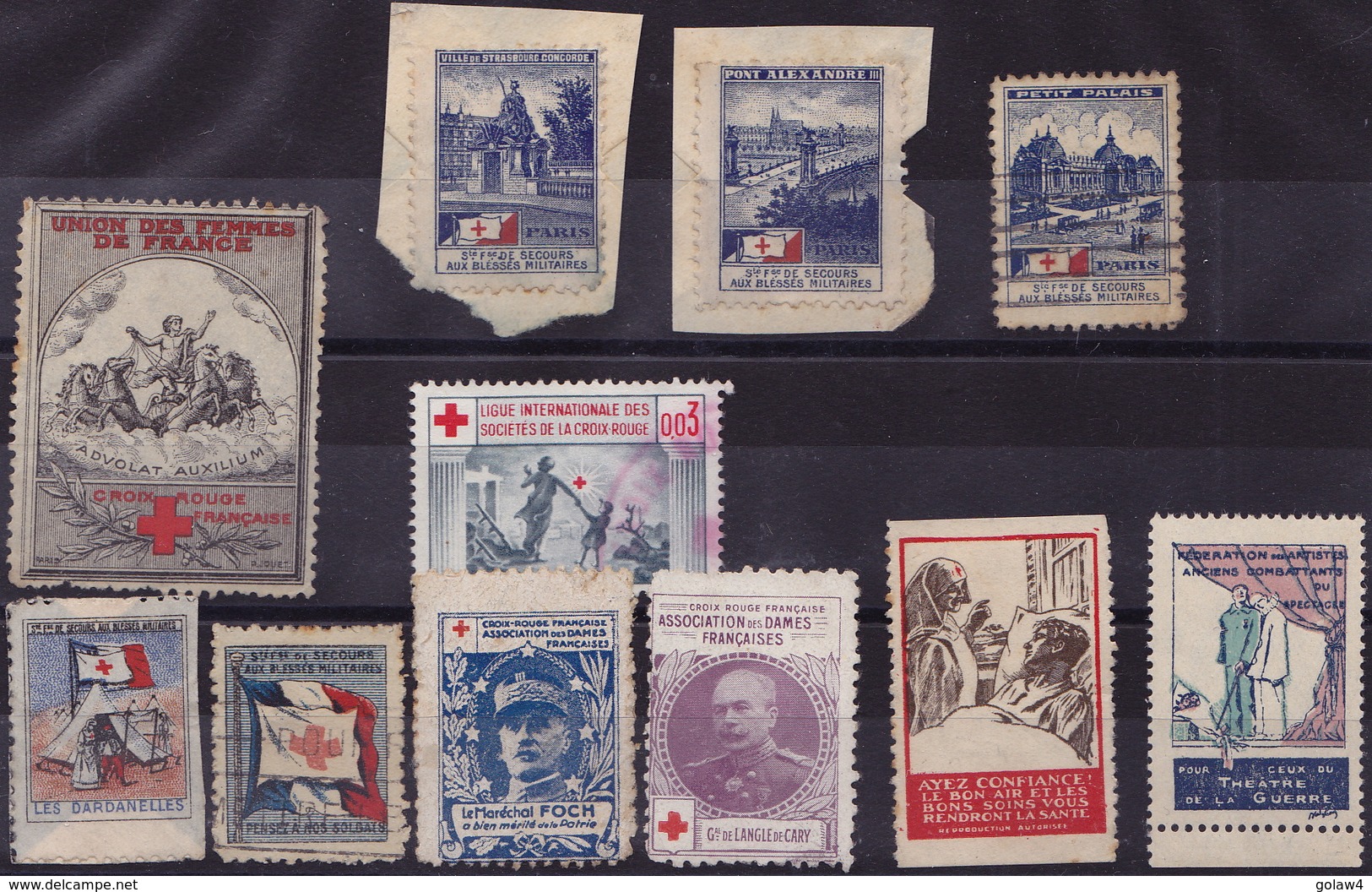 20494# LOT 11 VIGNETTES 1ere GUERRE MONDIALE UNION FEMMES FRANCE CROIX ROUGE DARDANELLES FOCH WW1 CINDERELLA - Guerre (timbres De)