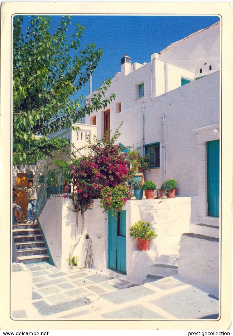 GRECE POST CARD  (FEB20871) - Grèce