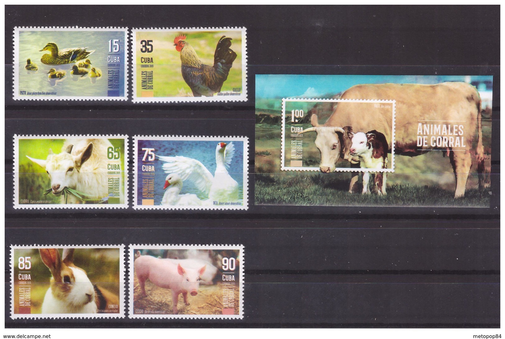 2019 Domestic Animals 6 Values Set+s/s  MNH - Used Stamps